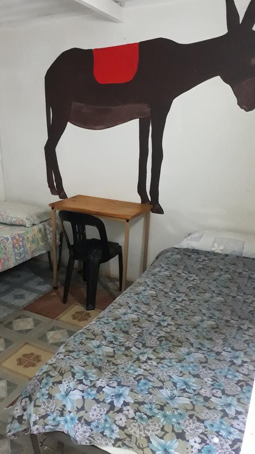 Hotel Paljas Backpackers à Potchefstroom Extérieur photo